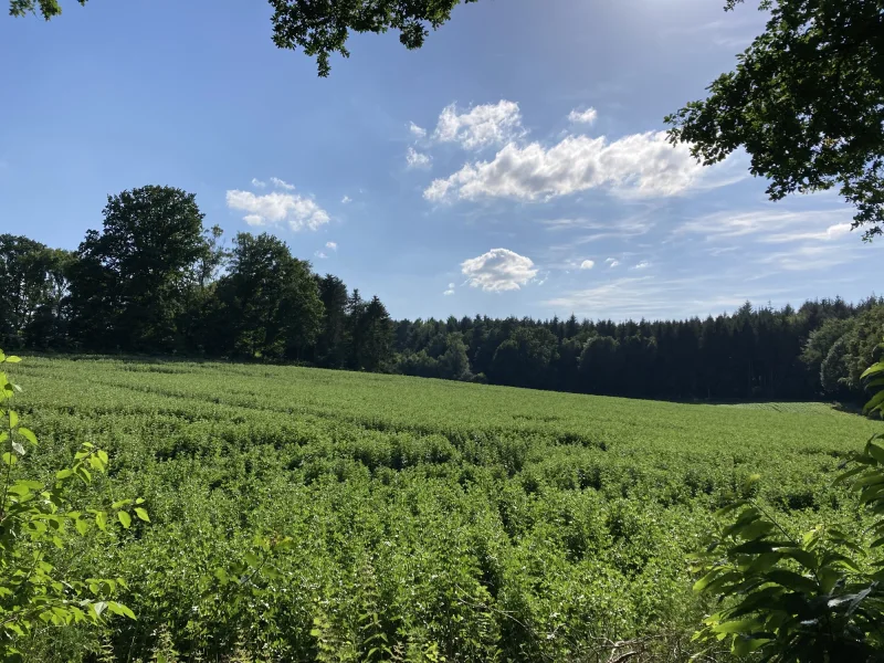 Wunderbarer Blick über die Felder