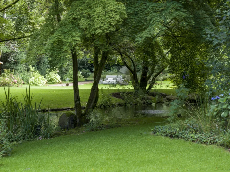 Blick in den Garten mit eigenem Teich