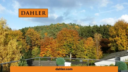 Zu jeder Jahreszeit ein Wohngenuss - Haus kaufen in Rosengarten - Ehestorf - Exquisites Design trifft Natur - Panorama-Villa unmittelbar an Hamburgs Stadtgrenze