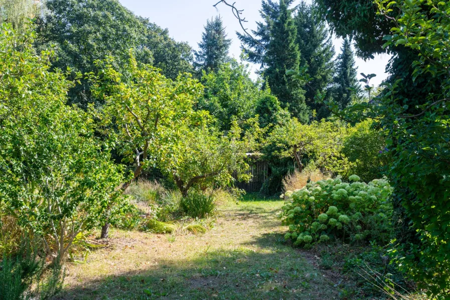 Natur pur im eigenen Garten