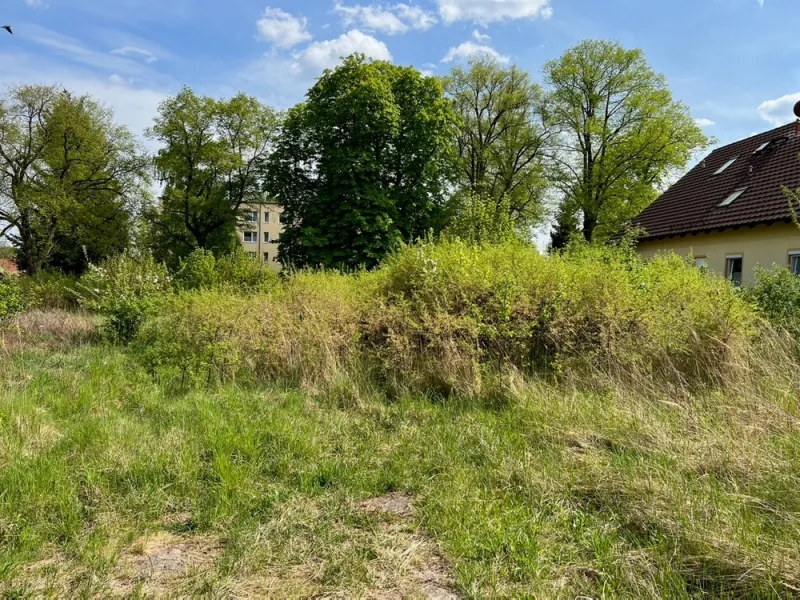 Grundstück 4 - Grundstück kaufen in Feldberger Seenlandschaft - Grundstücke in der Feldberger Seenlandschaft