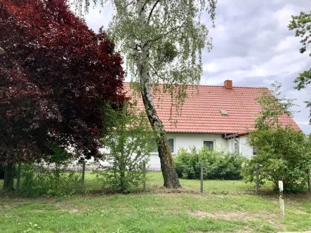 Hausansicht - Haus kaufen in Groß Miltzow / Badresch - Wohnen und Leben im Einklang mit der Natur