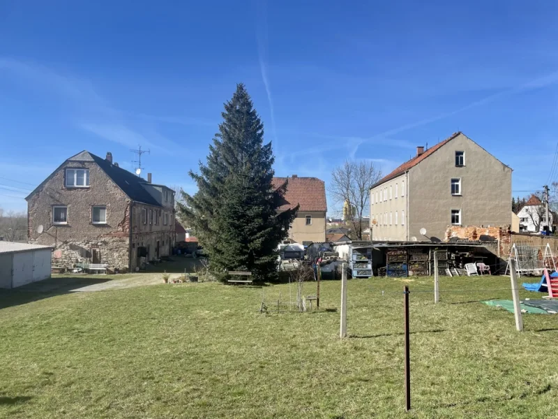 Hausansicht - Haus kaufen in Ronneburg - Sanierungsobjekt mit viel Potenzial