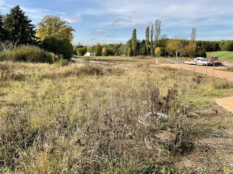 Grundstück - Grundstück kaufen in Ronneburg - Erfüllen Sie sich hier Ihren Traum von den eigenen vier Wänden