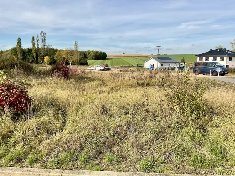 Grundstück - Grundstück kaufen in Ronneburg - Sonniges Grundstück in ruhiger Siedlungslage