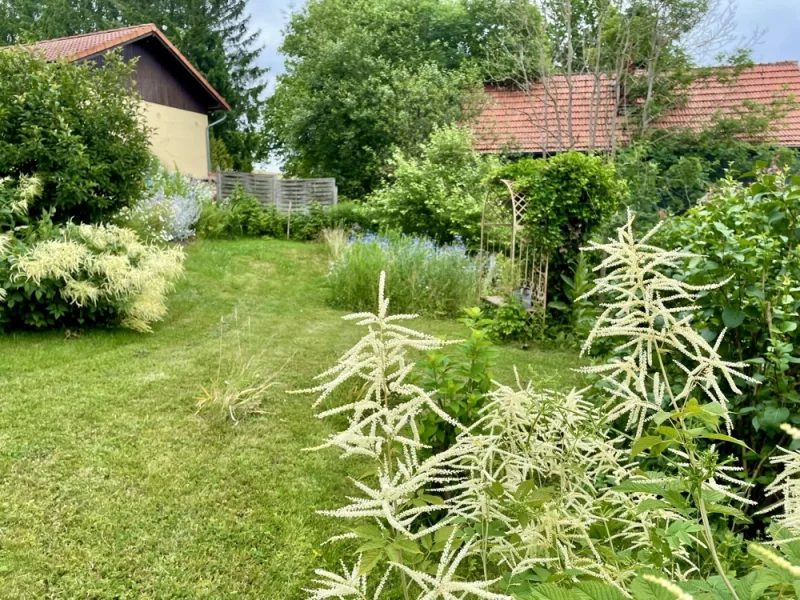 Gartenimpressionen