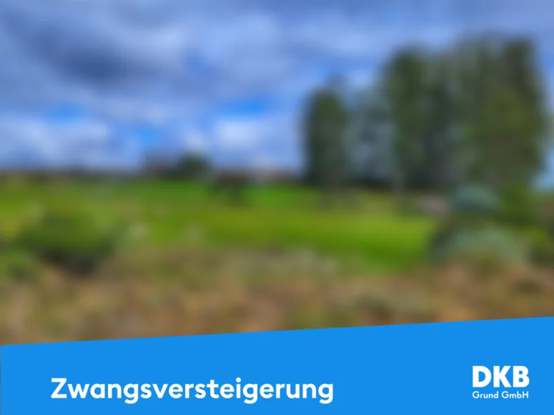 Zwangsversteigerung Grundstück.jpg - Grundstück kaufen in Kraftsdorf / Harpersdorf - Landwirtschaftliche Nutzfläche in der Zwangsversteigerung: Chance für Investoren und Landwirte