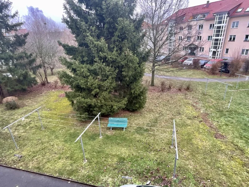 Gemeinschaftsgarten