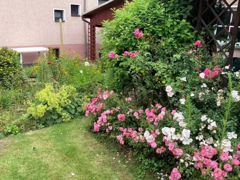 Gartenimpressionen