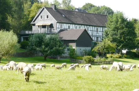 Hinteransicht Sommer - Haus kaufen in Nümbrecht - Wohnkultur "Dickelsmühle anno 1893" für Wohnen und Arbeiten mit Ausbaupotenzial nahe Köln und Bonn !