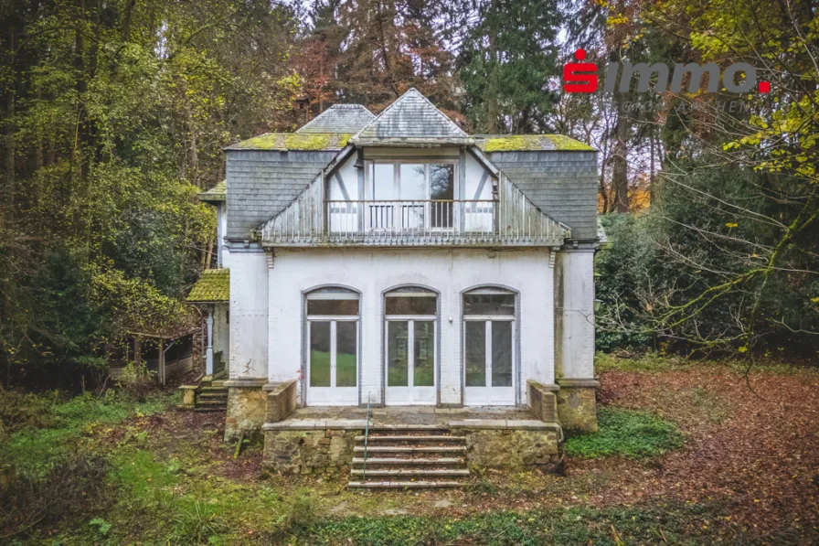 Frontansicht - Haus kaufen in Aachen - Einmalige Gelegenheit! Denkmalgeschützte Villa in Alleinlage