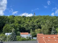 19 Blick vom DG auf Schaumberg