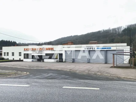 Einfahrtansicht - Halle/Lager/Produktion mieten in Nonnweiler - Attraktive Gewerbehalle mit Büroflächen in zentraler Lage zu vermieten