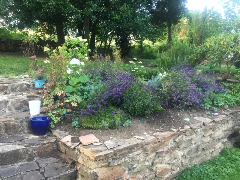 Gartenimpressionen (Sommerfoto)