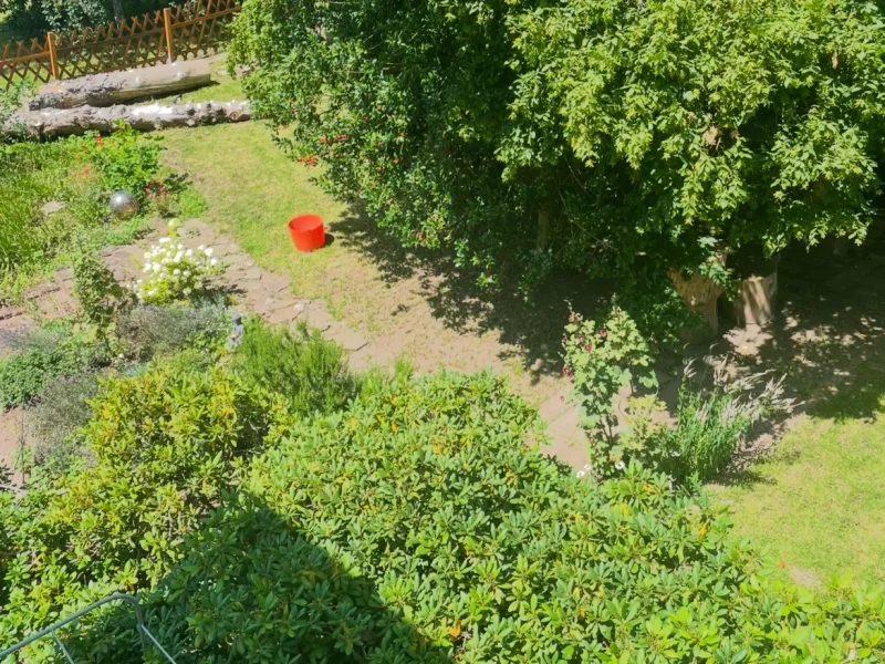 Gartenimpressionen (Sommerfoto)