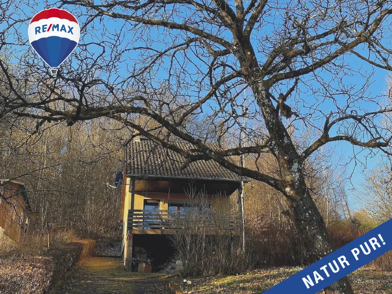 Einfahrtsansicht - Haus kaufen in Nohfelden - EINZIGARTIG !Wochenendhaus...in Nähe des Bostalsees