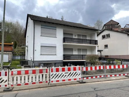 Ansicht - Haus kaufen in Lemberg - Freistehendes Zweifamilienhaus in ruhiger Lage