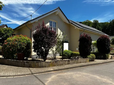 Ansicht - Haus kaufen in Merzig / Besseringen - Großzügiges modernes Wohnhaus mit Schwimmbad und Sauna