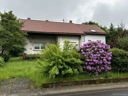 Ansicht - Haus kaufen in Nonnweiler / Braunshausen - Großzügiges 1-2 Familienwohnhaus mit viel Platz und großem Grundstück