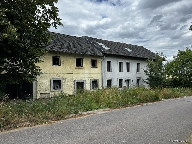 Frontansicht - Haus kaufen in Perl / Eft-Hellendorf - Teilrenovierter und umgebauter Landhof mit Haupthaus und zustzl. drei Wohnungen mit großem Grundstück