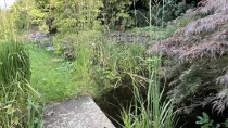 Zugang zur Wiese mit Teich