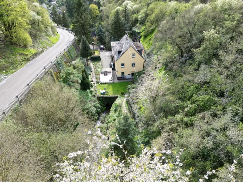 Eingebettet im malerischen Rheinseitental