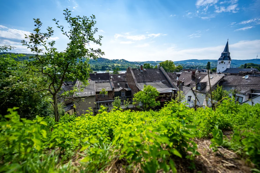 Blick über Braubach