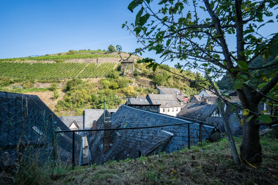 Traumhafter Blick auf die Weinberge