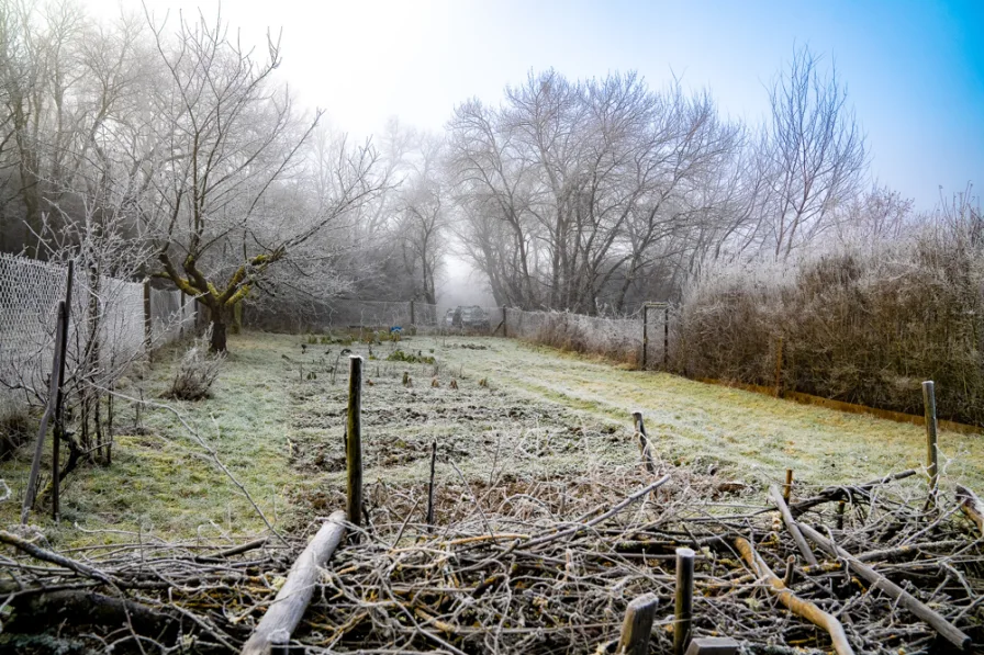 Großes Gartengrundstück