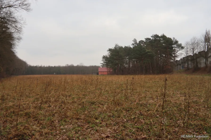 Landwirtschaft Fläche