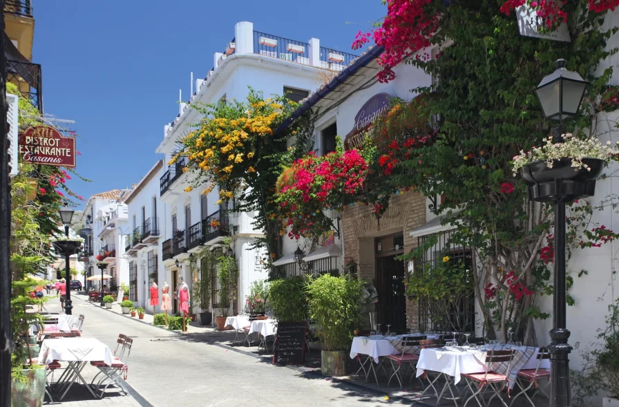 Calle Ancha Buganvillas