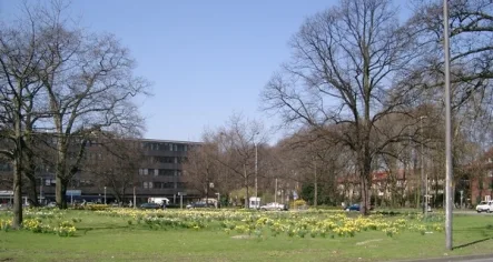 Ludgeriplatznähe - Büro/Praxis mieten in Münster, Josefsviertel - VERMIETET! 99 m²-City-Büro Nähe Ludgeriplatz/Stadthaus II