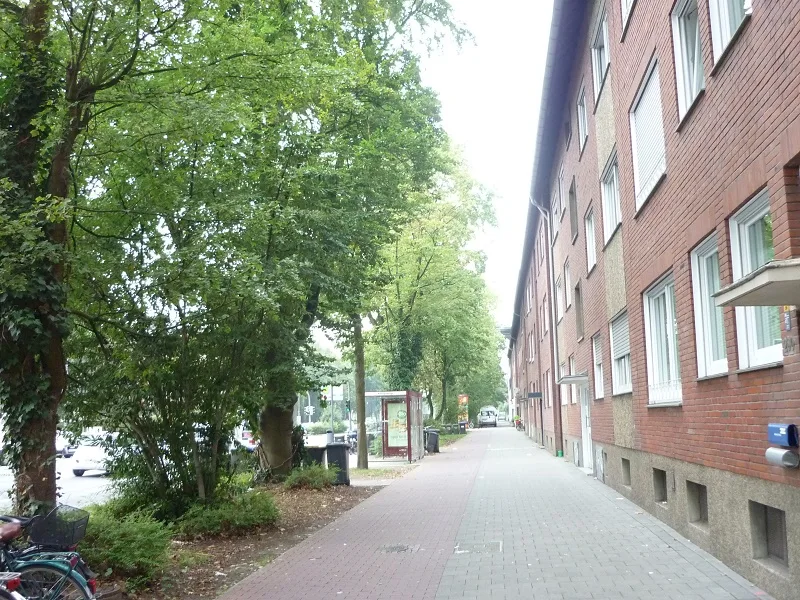 Die Hammer Straße - Wohnung mieten in Münster, Geist - 65 m²-Wohnung, Hammer Straße/Nähe Metzer Straße!