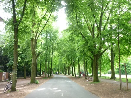 Nähe Promenade - Wohnung mieten in Münster - Ruhige City-Maisonette-Wohnung zwischen Domplatz und Aasee