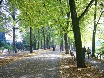 Promenadennähe.png - Büro/Praxis mieten in Münster - 145 m²-Büroetage mit Promenadenblick! Nähe Servatiiplatz und Bahnhof