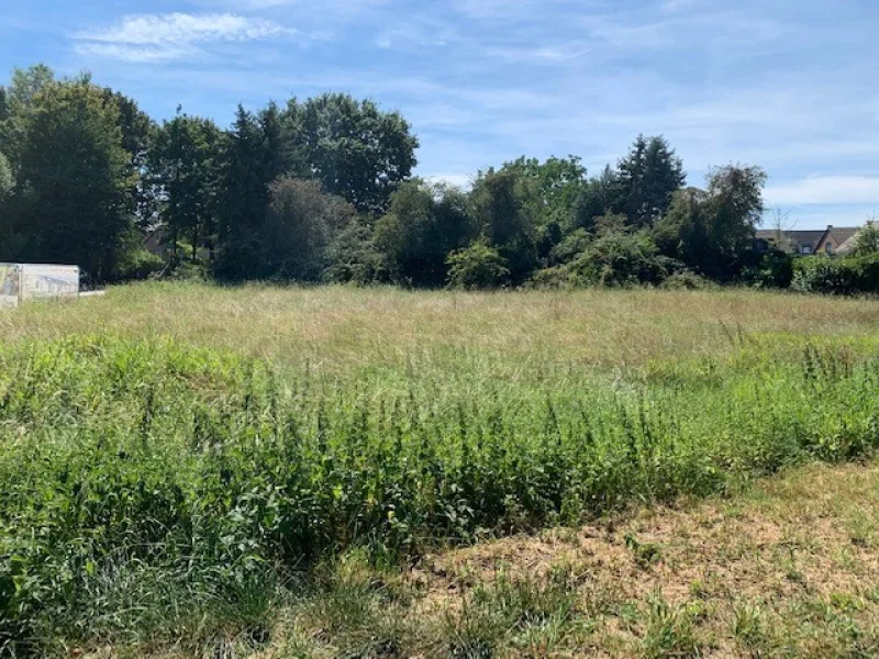 Bild1 - Haus kaufen in Langenfeld - Glücklich in Reusrath!