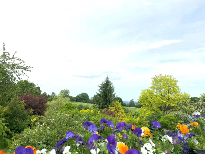 Ausblick vom Balkon DG