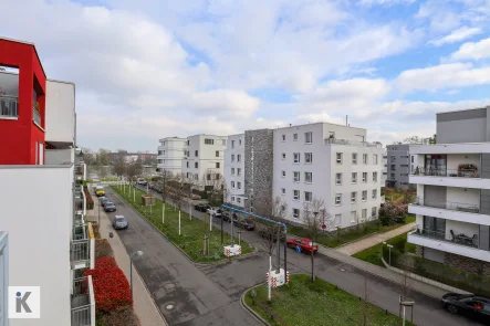 Blick auf den Rhein - Wohnung mieten in Ludwigshafen - Rheinufer Süd - exklusives Wohnen mit Blick auf den Rhein!