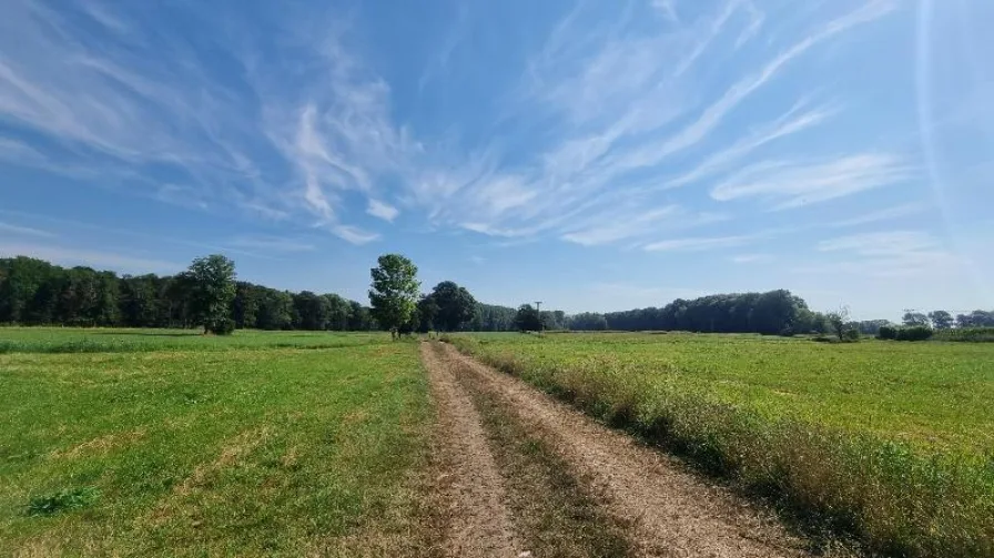  - Land- und Forstwirtschaft kaufen in Sonsbeck - Fläche für die Landwirtschaft: ca. 11 ha  Acker- und Grünlandflächen ----  VERKAUFT!