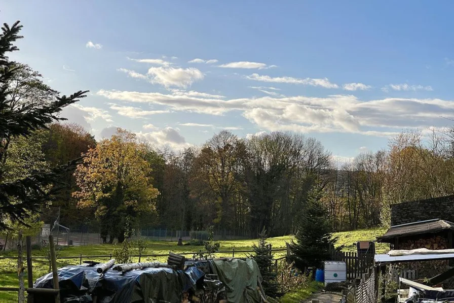 Blick ins Grüne und viel Natur