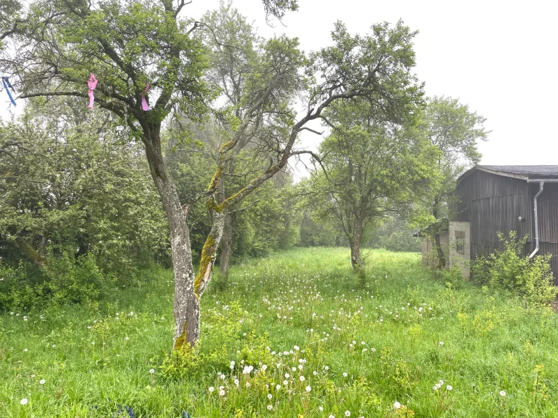 Grundstück - Grundstück kaufen in Blankenheim - Wohnen im idyllischen Eifeldorf Lindweiler...