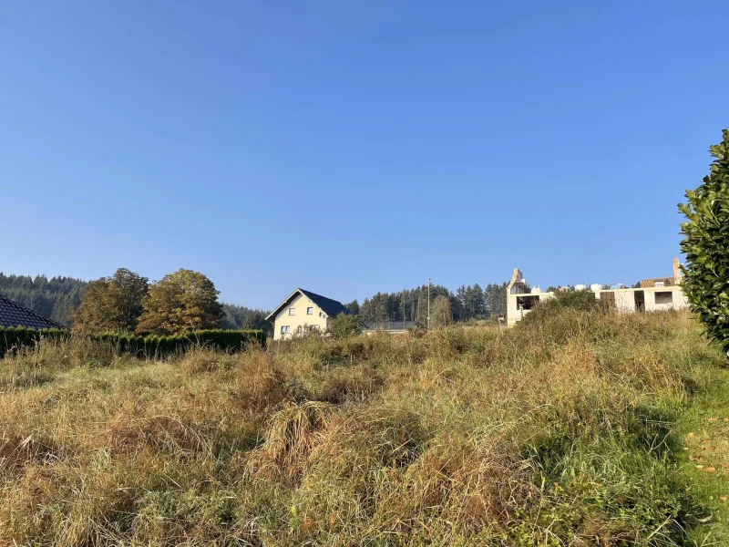 Grundstück - Grundstück kaufen in Hellenthal - Bauen wo andere Urlaub machen