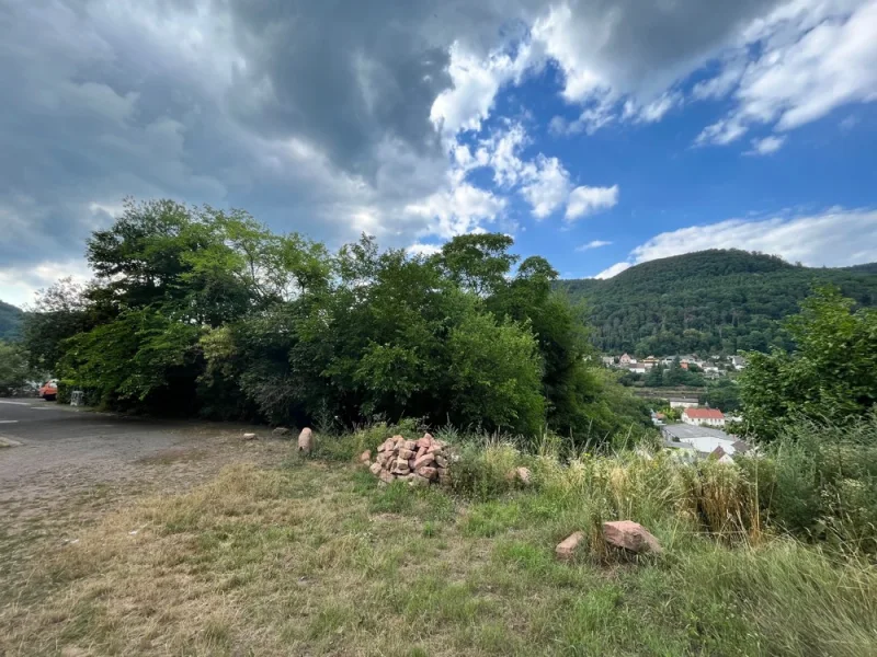 Ansicht - Grundstück kaufen in Lambrecht (Pfalz) - Großes Baugrundstück (1500 m²) über den Dächern von Lambrecht