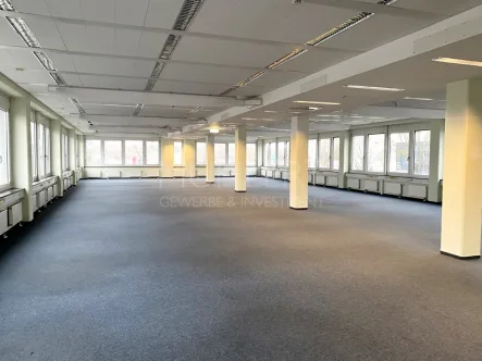 Raumbeispiel, Unterteilung möglich - Büro/Praxis mieten in Ludwigshafen am Rhein - Provisionsfrei: Moderne und flexible  Büroflächen im Technologiepark Ludwigshafen