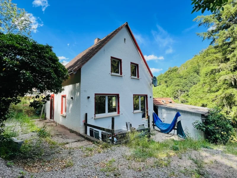 Außenansicht - Haus kaufen in Annweiler am Trifels - Traumhaftes Anwesen in Annweiler: Idylle pur auf 4000 m² Grundstück