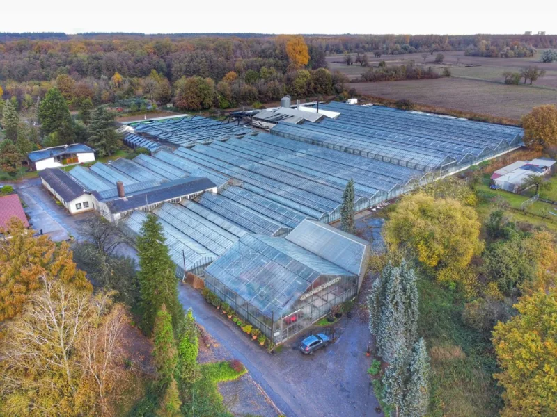 Vogelperspektive - Grundstück kaufen in Hagenbach - Attraktiver Gartenbaubetrieb auf 26.000 m²: Privilegierter Außenbereich mit Entwicklungspotenzial