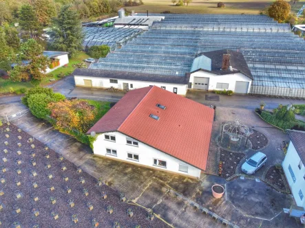 Vogelperspektive - Haus kaufen in Hagenbach - Vielseitiges Wohn- und Geschäftshaus in Hagenbach: 400 m² Gesamtfläche für Wohnen und Arbeiten