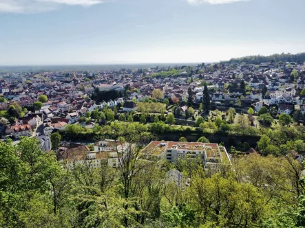 Aussicht - Haus kaufen in Bad Dürkheim - Exklusives Wohnerlebnis mit Blick über die Rheinebene: Hanggrundstück zur flexiblen Nutzung!