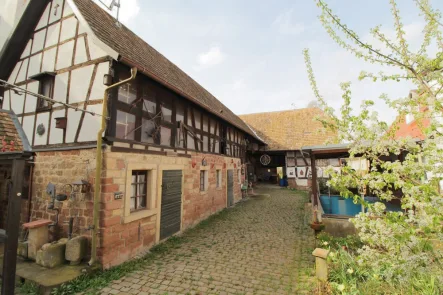 Hof mit Blick auf die Scheune - Haus kaufen in Böhl-Iggelheim / Böhl - Beeindruckendes Gebäudeensemble mit einem der ältesten Häuser in der Pfalz