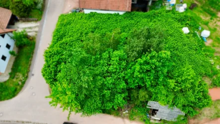 Drohnenansicht - Grundstück kaufen in Nothweiler - Tolles und großzügiges Grundstück mit 588 m² Fläche in Nothweiler